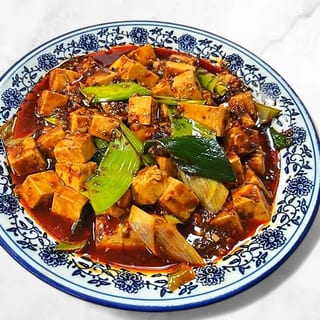 Mapo Tofu 麻婆豆腐